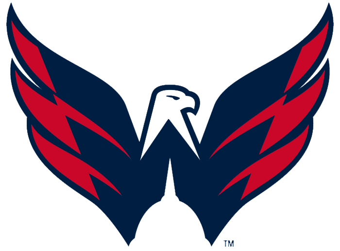 Washington Capitals 2007-Pres Alternate Logo fabric transfer